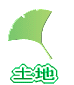 yn
